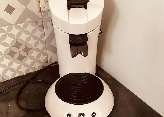 Grande Maison Avec Jardin * Sarrancolin